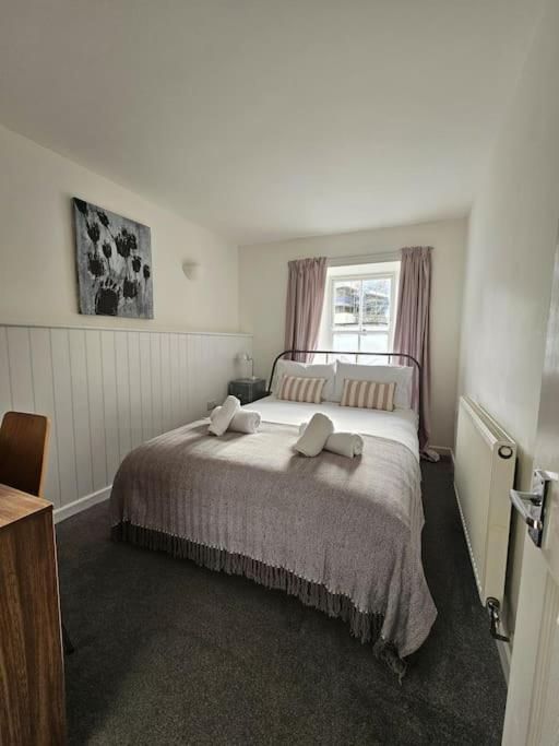 Beautiful And Bright !! Town/harbour #1 Apartment Penzance